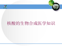 核酸的生物合成医学知识培训课件