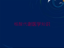 核酸代谢医学知识培训课件