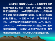 核酸化学医学宣教课件