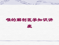 喉的解剖医学知识讲座培训课件
