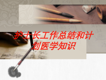 护士长工作总结和计划医学知识培训课件