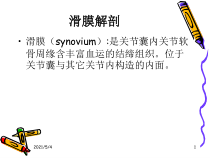 滑膜炎医学诊疗课件