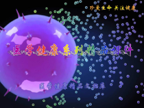 化学治疗常见问题课件