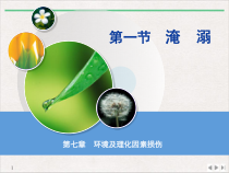 环境及理化因素损伤急诊医学课件