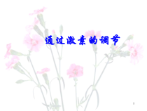 激素调节医学课件