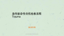 急性创伤的诊断治疗原则及抢救流程课件