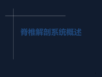脊椎的解剖医学课件