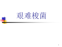 艰难梭菌医学课件