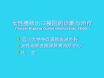 教学培训_女性膀胱出口梗阻的诊断与治疗课件