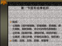 结缔组织医学医药精选课件