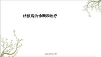 结核病诊断和治疗课件