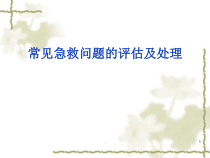 急救问题的紧急评估与处理医学课件