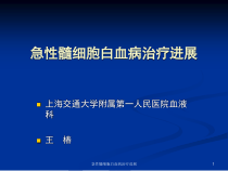 急性髓细胞白血病治疗进展课件