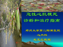急性心肌梗死诊断和治疗指南课件