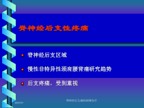 脊神经后支痛的射频治疗培训课件