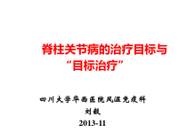 脊柱关节病的目标治疗与目标治疗课件