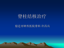 脊柱结核治疗许昌兵课件