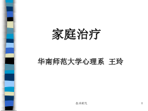 家庭系统治疗高教课件