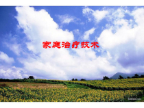 家庭治疗技术家庭心理治疗课件