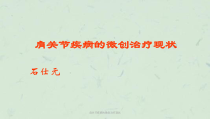 肩关节疾病的微创治疗现状课件