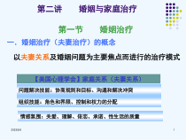 讲婚姻与家庭治疗课件