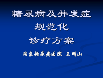 讲课稿糖尿病治疗方案王明山课件
