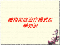 结构家庭治疗模式医学知识培训课件