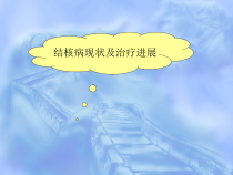 结核病现状及治疗进展解析课件