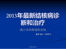 结核病诊断治疗课件