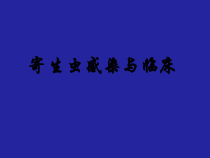 寄生虫感染与临床课件