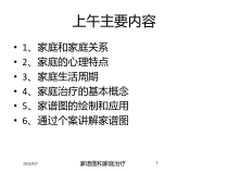 家谱图和家庭治疗课件