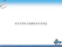 肩关节形针刀松解术治疗肩周炎优秀案例课件