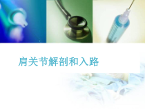 肩关节解剖和入路医学课件