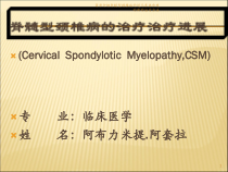简单介绍脊髓型颈椎病的近几年来出现的新的治疗方法课件