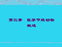 教学培训_医学节肢动物概述-课件