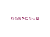 酵母遗传医学知识培训课件