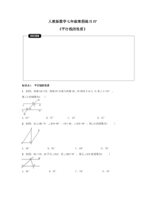 人教版数学七年级数学下册 寒假讲义（12份打包，含答案，可预览）