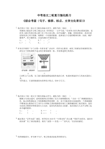 中考语文二轮复习强化练习《综合考查（句子、修辞、标点、文学文化常识）》（含详解）