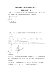 人教版数学九年级上册专项培优练习十二《旋转综合题专练》（含答案）