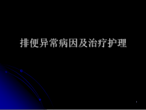 排便异常病因与治疗护理课件