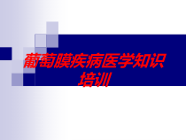 葡萄膜疾病医学知识培训培训课件