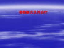 葡萄膜炎及其治疗教学课件