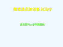 葡萄膜炎诊断与治疗课件