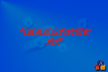气道高反应的病因和治疗培训课件