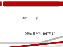气胸病人的治疗及护理课件