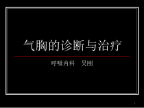 气胸的诊断和治疗课件