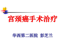 浅谈宫颈癌手术治疗课件