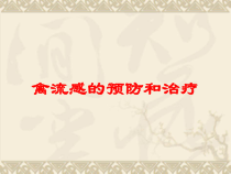 禽流感的预防和治疗培训课件