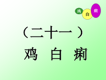 禽病学禽病临床诊断彩色图谱21鸡白痢西南课件