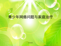 青少年网瘾问题与家庭治疗课件